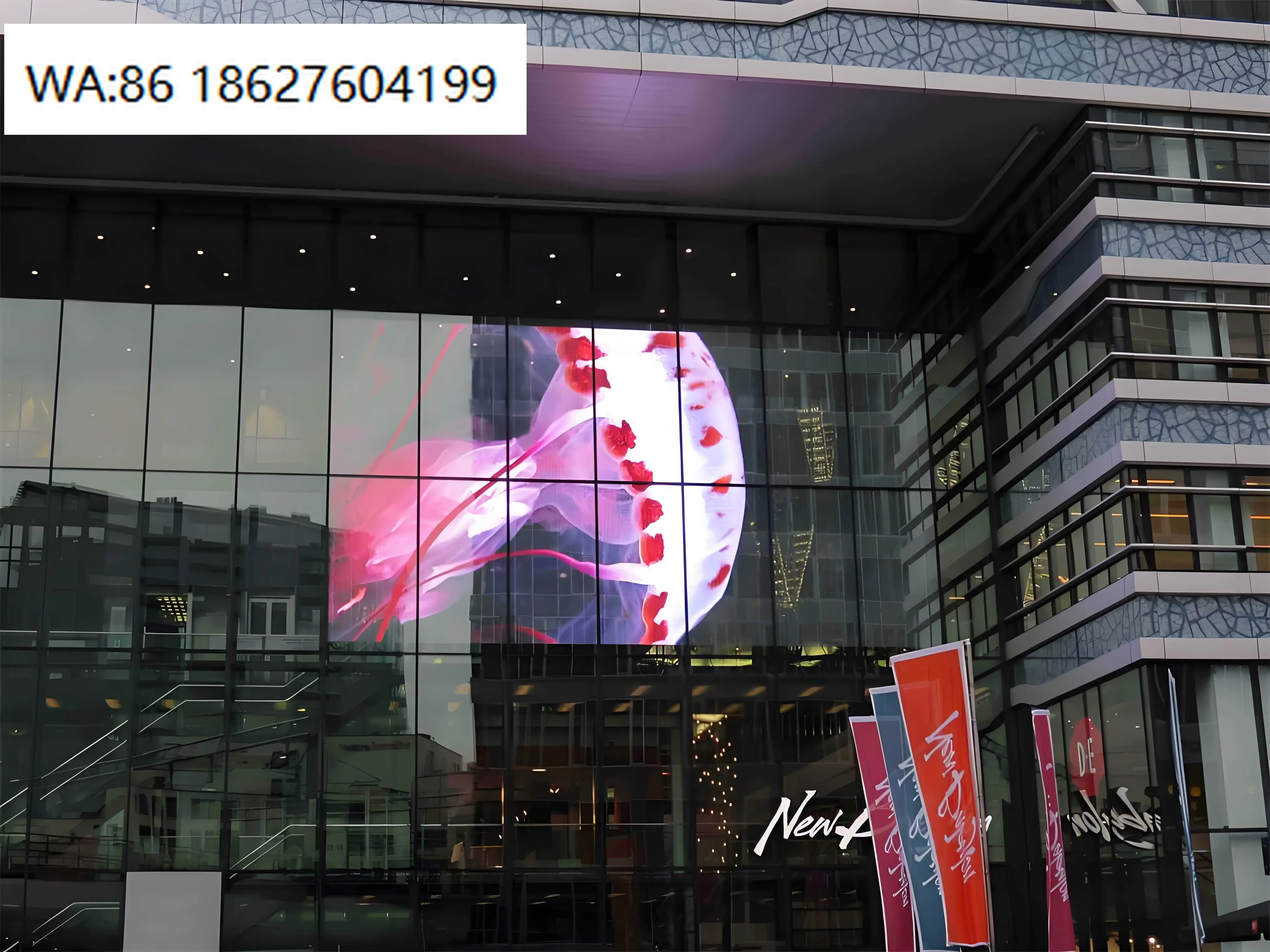 Ultra Transparent 3D Holographic LED Screen Custom Size Flexible Display For Retail Window Exhibition Booth Advertisement