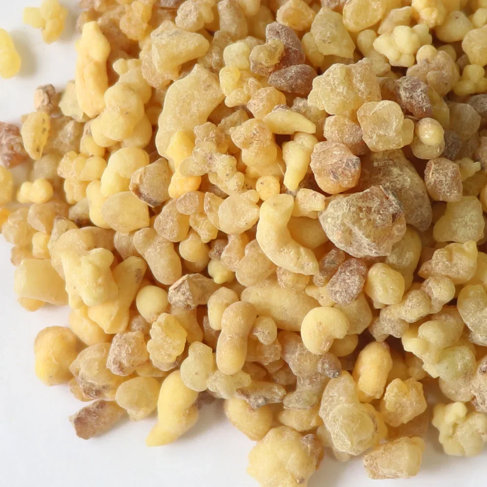 كتلة بخور لوبان عالية الجودة رائحة نظيفة Boswellia لوبان 20 جرام