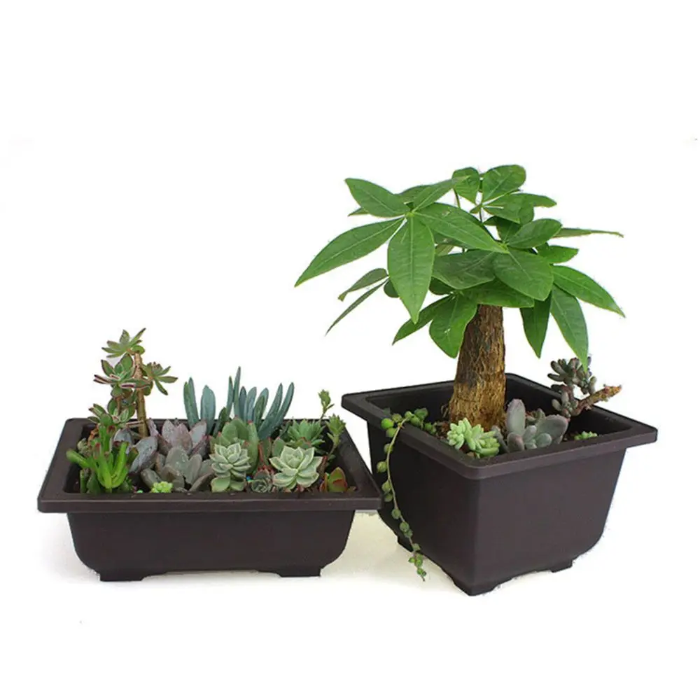 High Quality Plastic Garden Plant Bowl Nursery Black Planter Square Flower Pot Simple Useful Bonsai Succulent Basin