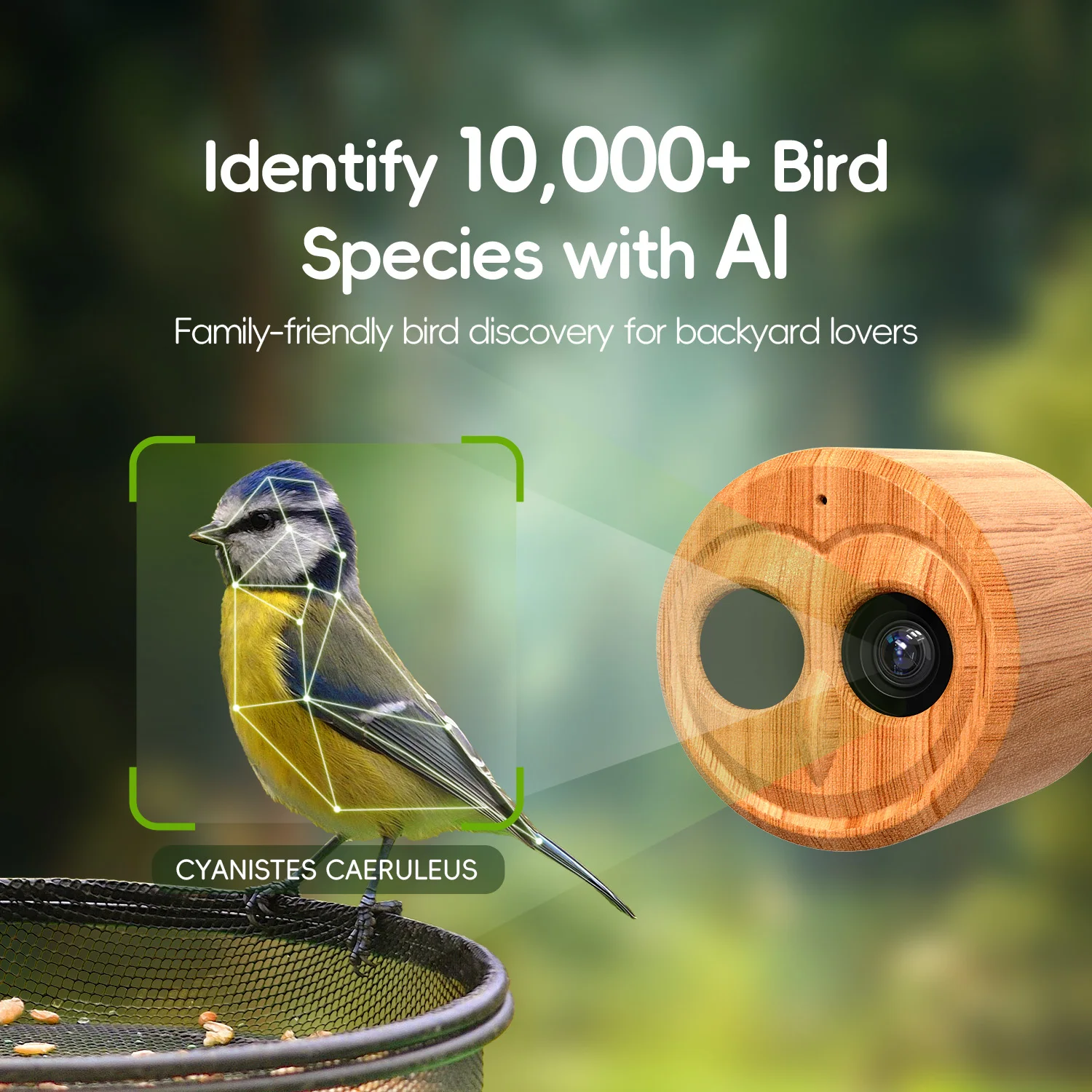 Автоматическая кормушка для пт – обзор и цена Smart Bird Feeder Camera