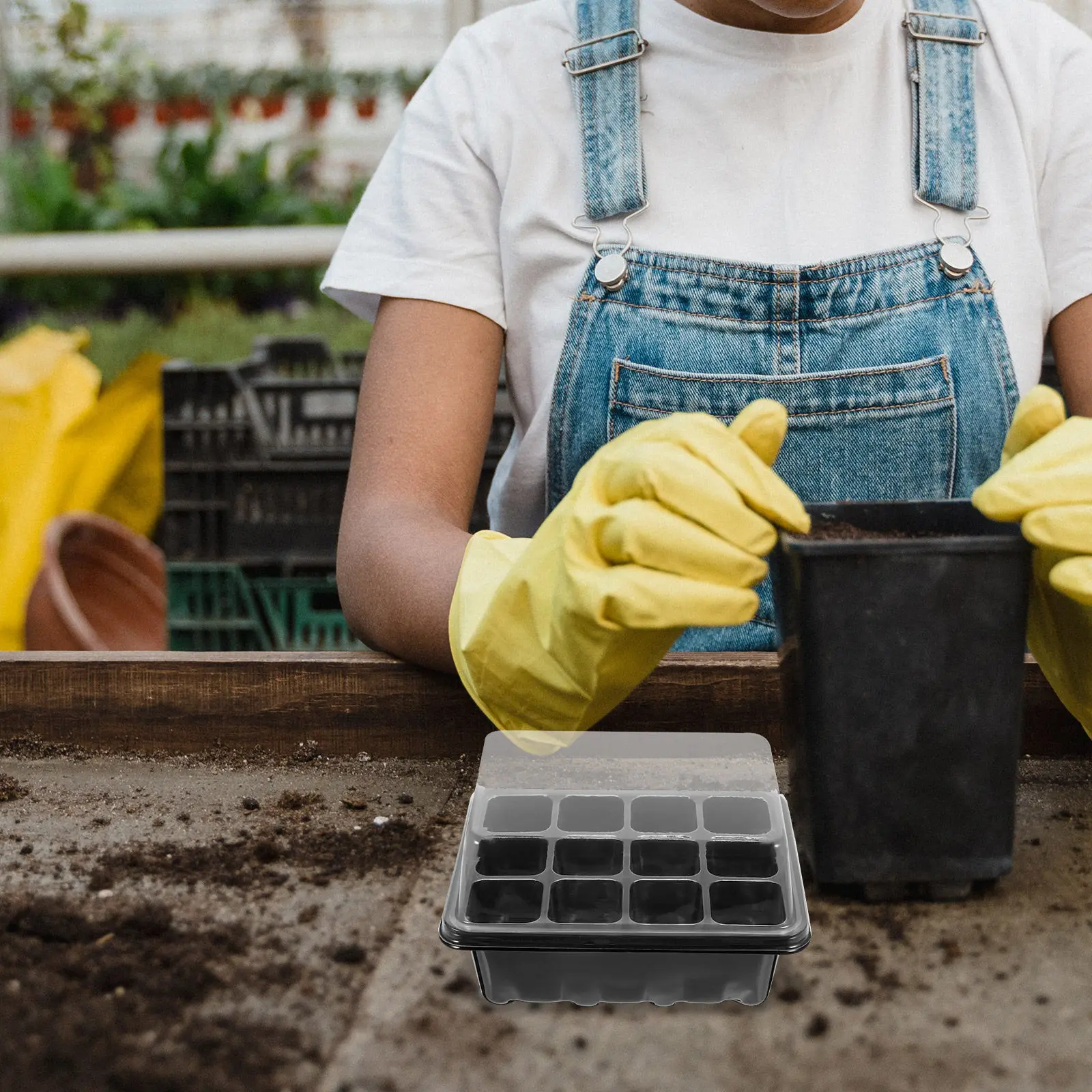

Набор из 12-ячеистых пластиковых лотков для рассады, контейнер для проращивания семян, для выращивания комнатных растений, наборы для проращивания, садовые принадлежности