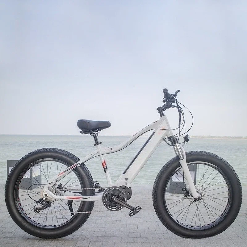 

26 inch aluminum alloy mid-mounted motor variable speed bicycle snow ATV