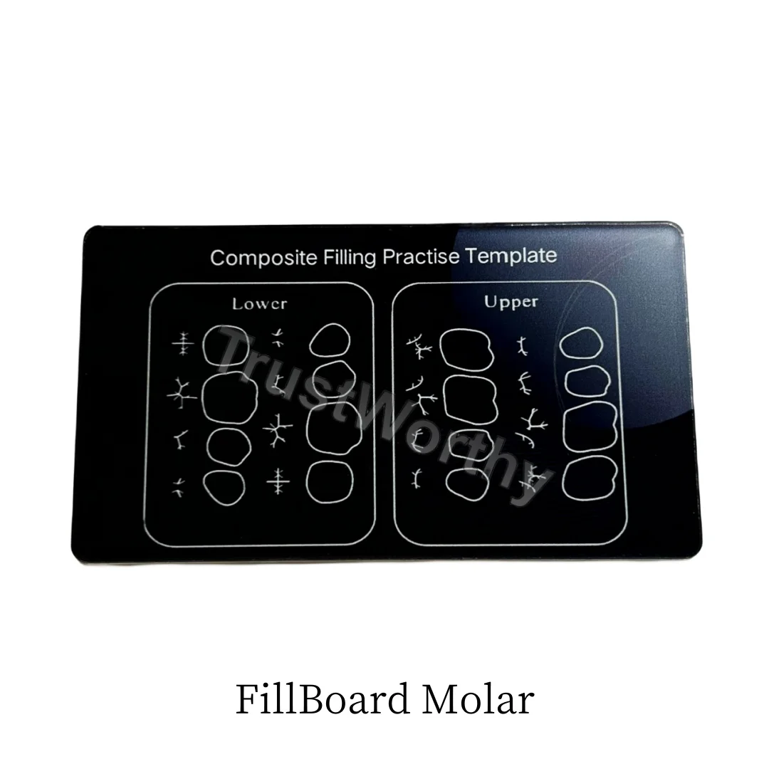 

Molar Dental Composite Resin Filling Practise Template Teeth Morphology Board Anatomical Model Study Board