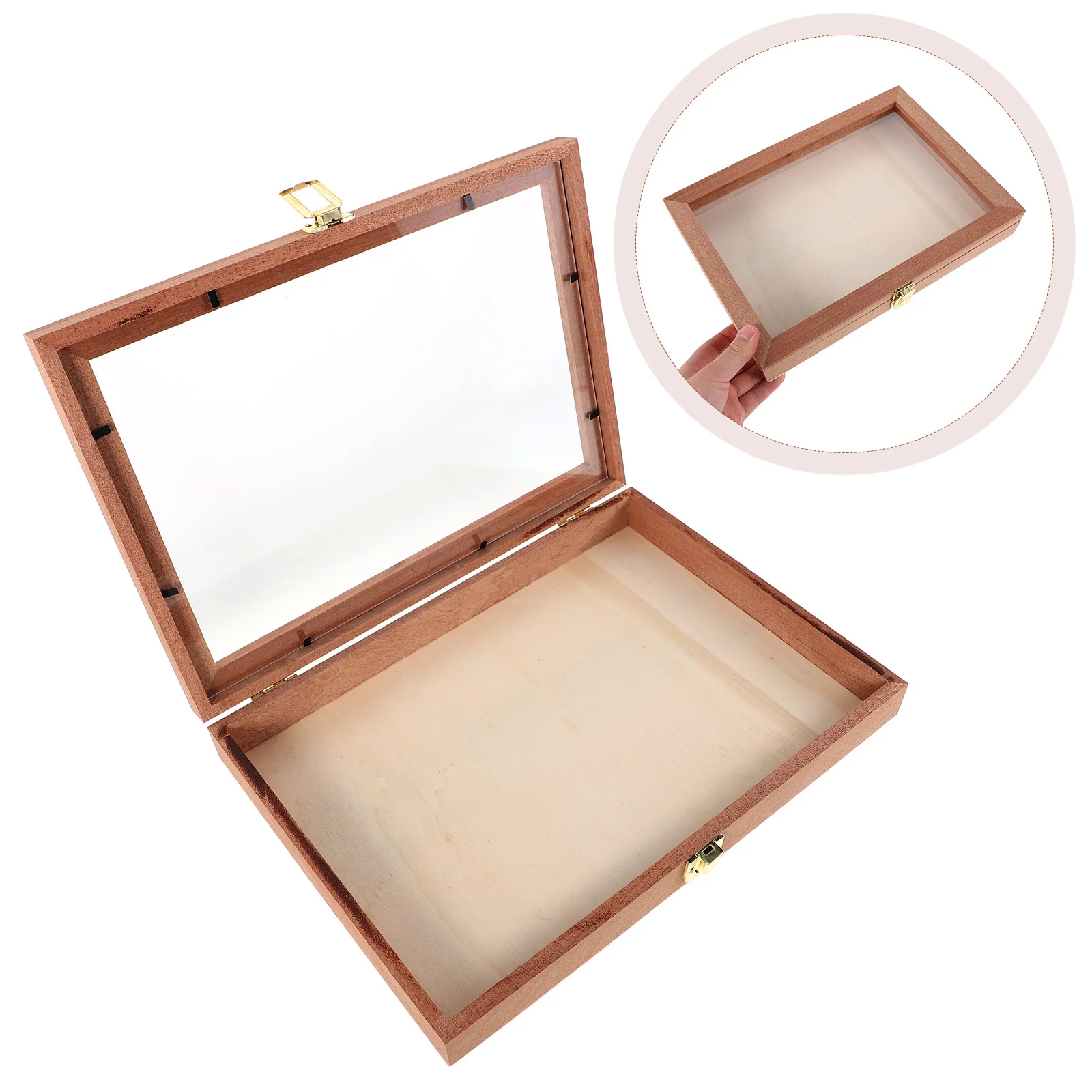 

Natural Wood Storage Box Rectangular Design with Clear Lid for Specimen Collection Display Case for Butterflies Dried Flowers