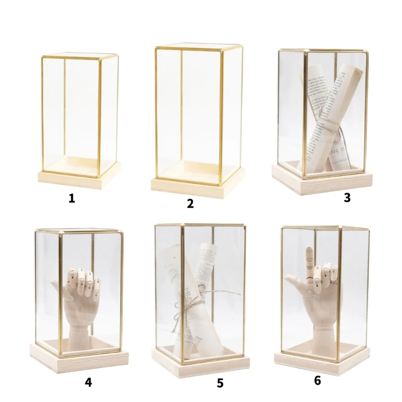 

Elegant Display Case for Collectibles Assemble Clear Covers Brass Frame Glass Encases Decors for Living Room Showcases