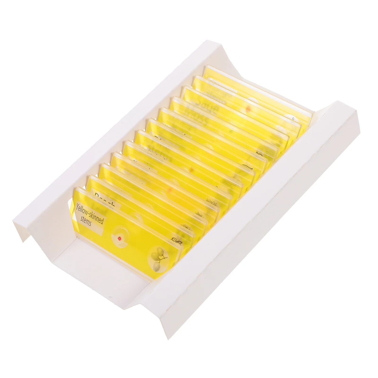 12pcs Microscope Slides Collection Plant Specimens Prepared Slides For Kids Biology Science Education Plastic Abs Samples
