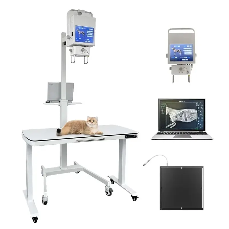 Hot Sale High Resolution Compact Veterinary DR Digital Radiography Imaging System Quick Image Processing Veterinary
