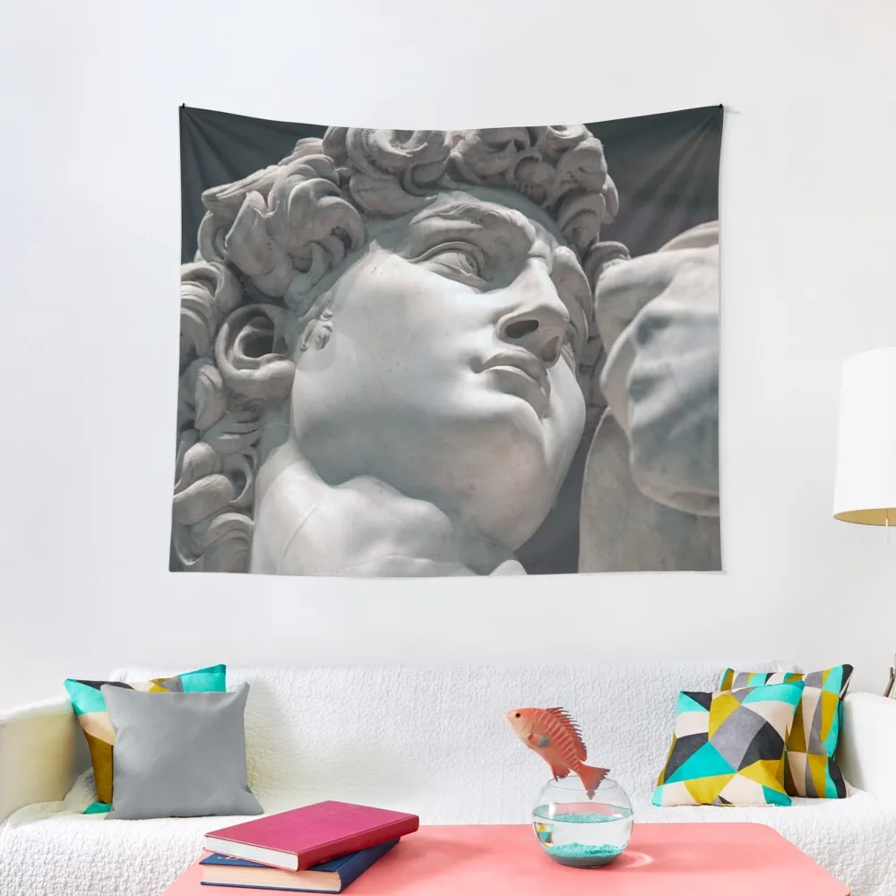 Michelangelo David (head)(2), 1501-1504 Tapestry Home Decoration Accessories Home Decorating Tapestry