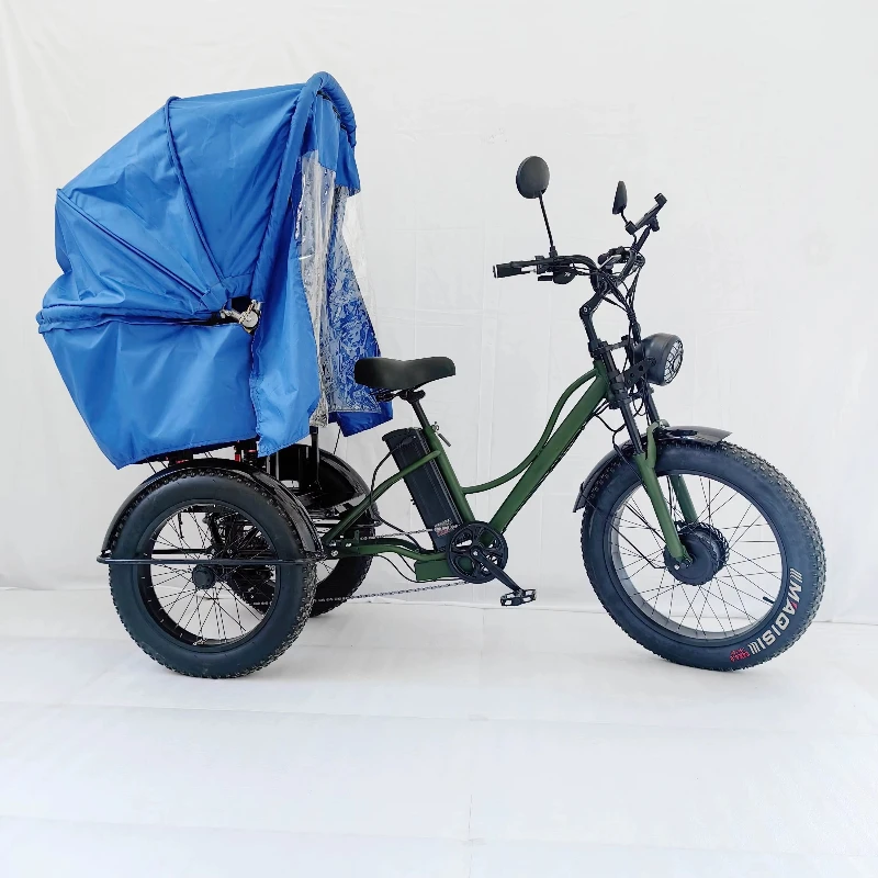 Transport Vehicle Bicycle 2024 Electric 3-Wheel Tricycle Fat Tire Three-Wheel Electric Freight Bicycle with Cover