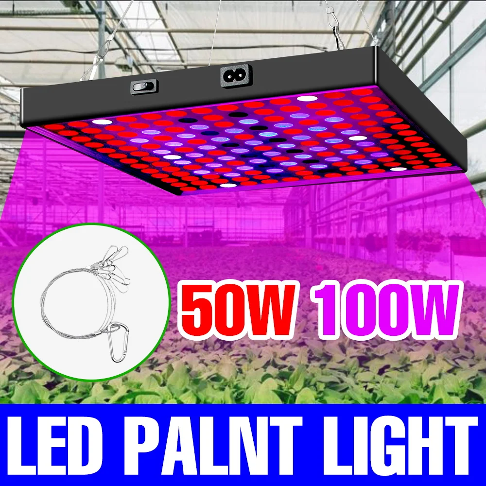 

100 Вт 50 Вт светодиодный светильник для выращивания растений полного спектра, гидропоника, лампа для выращивания растений, ИК UR для комнатных цветов, фруктов, овощей, заполняющего освещения