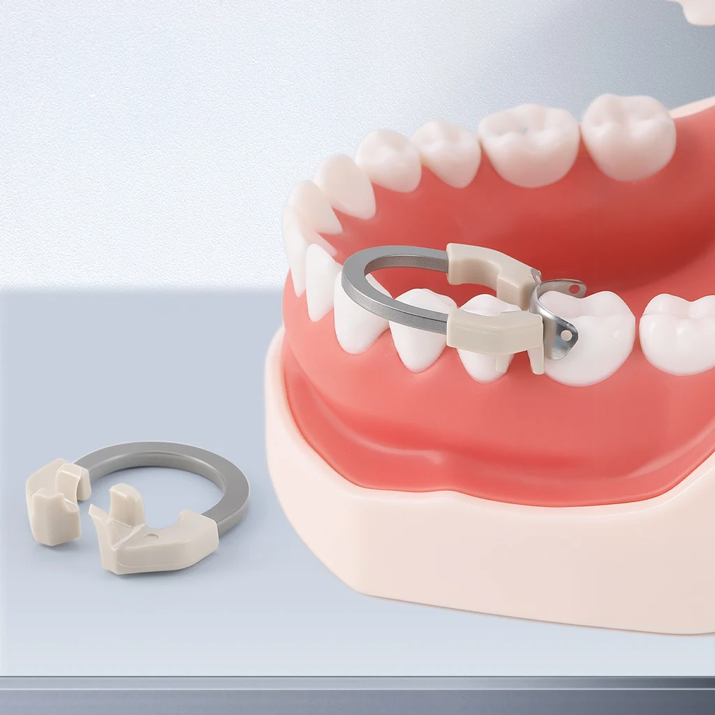 3-teiliges AZDENT Dental-Sektionsmatrizesystem, Matrizen, Clip-Ring, konturierte Matrizenbänder, Titan-Klemmring, universell schmal, tief – Detail 15