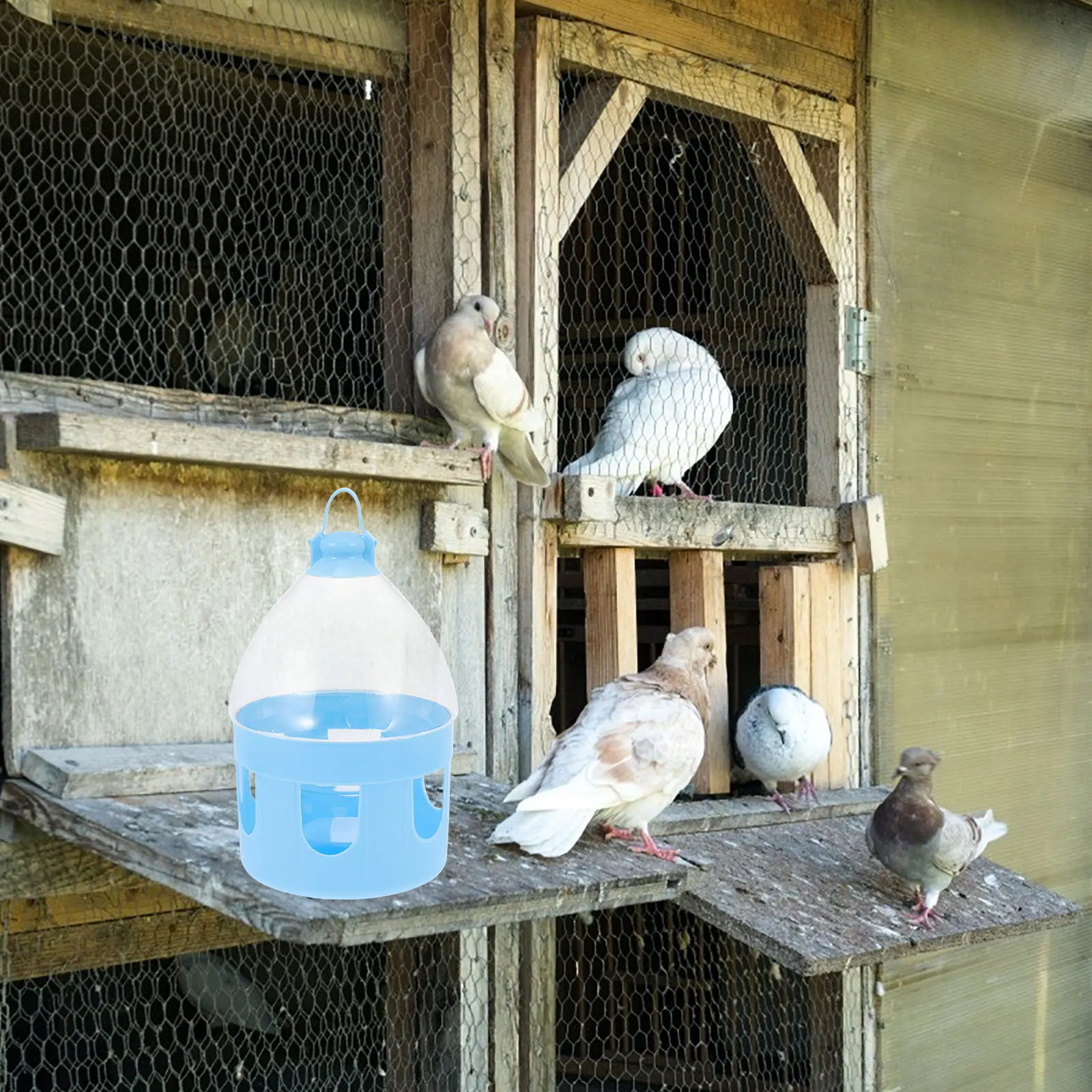

2PCS Pigeon Water Feeder Large Capacity Bird Drinking Bowl PVC Removable Bright Sturdy Design for Parrots Pet