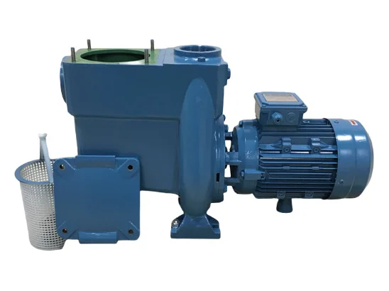 Professional high-quality swimming pool pump iron standard 220v high efficiency