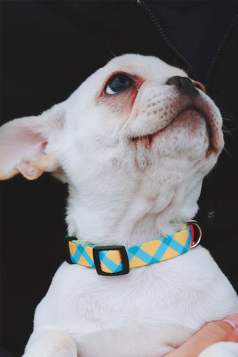 Dog Collar Anti-Pull Adjustable Soft Polyester Collar Necklace Personalized  Accessories For Pets