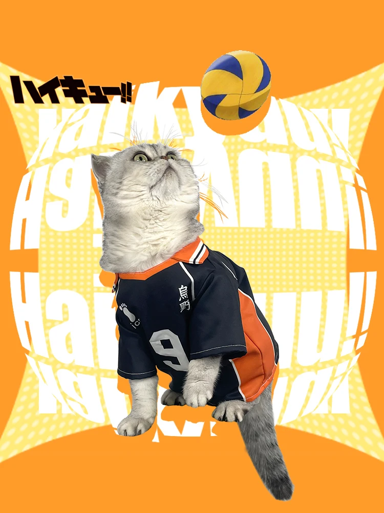 Yingshan Feixiong الحيوانات الأليفة تي شيرت الكرة الطائرة الصغيرة الصبي القط كوس على البخار الكعك ووي جامعة الملابس الكلب التصوير الملابس