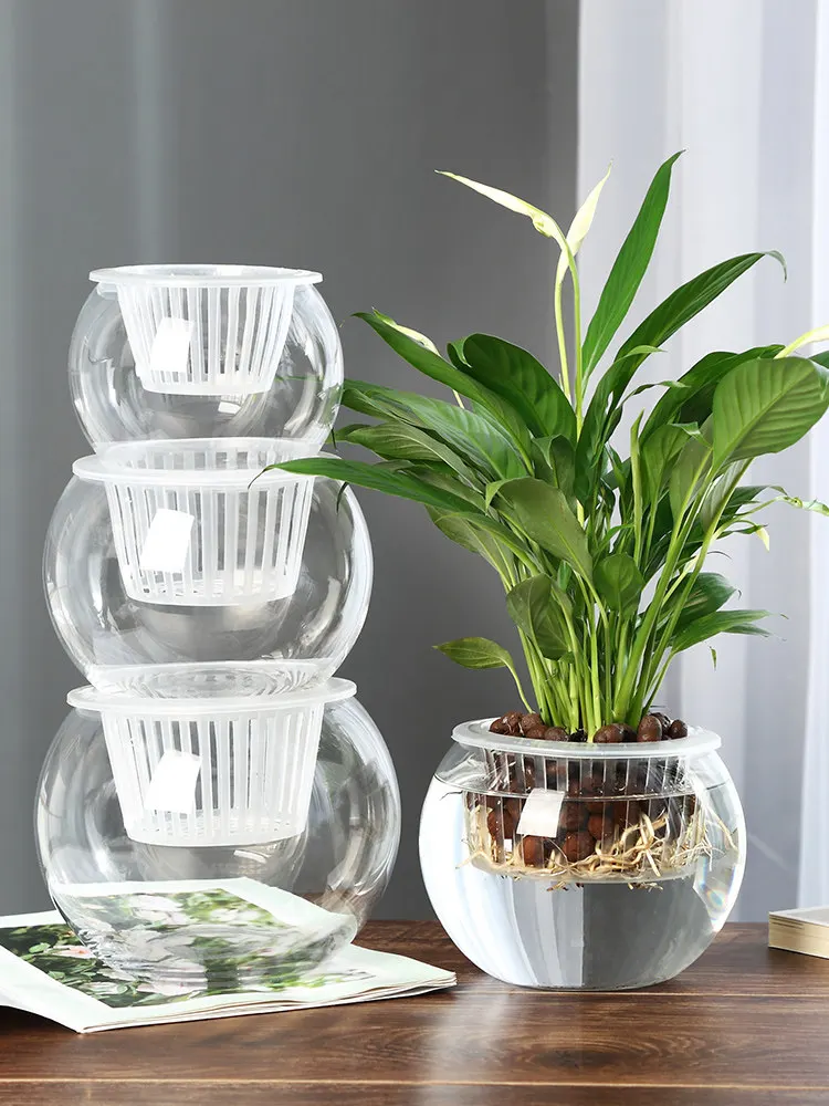 Hydroponic Glass Vase Glass Gr - Propagation Station Vase recension och pris