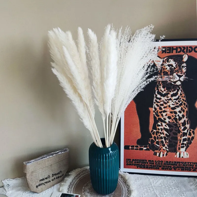 

Home Decor Small Reed Dried Flowers 15pcs/lot Beautiful Bedroom, Living Room, Wine Cabinet Decorative Bouquet Small Pampas Grass