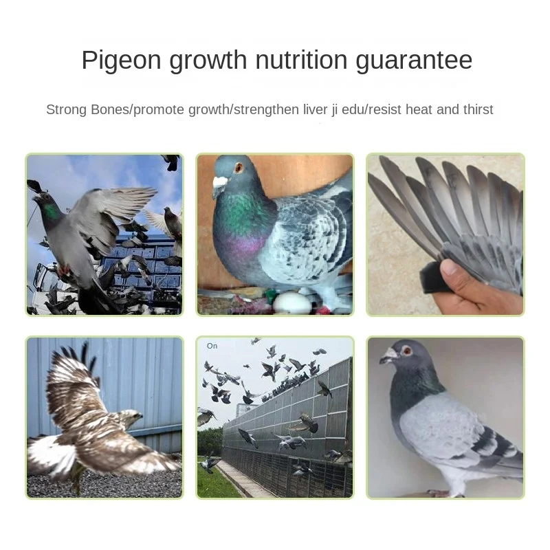 Wei Gao Liver Essence 100ml Racing Pigeon Homing Pigeon Supplies To Strengthen Liver Semen Young Pigeon Parrot Bird