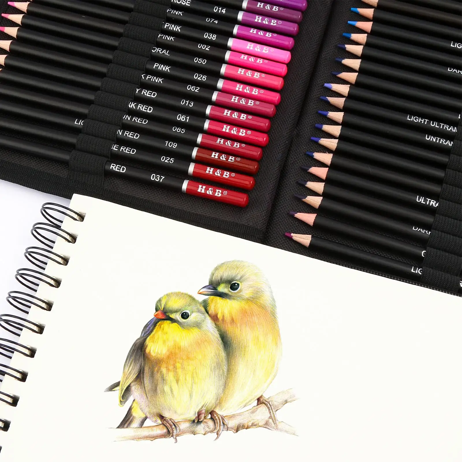 Crayons à Dessin au Charbon – Ensemble Complet Premium Multicolore pour la Conception Artistique et les Portraits