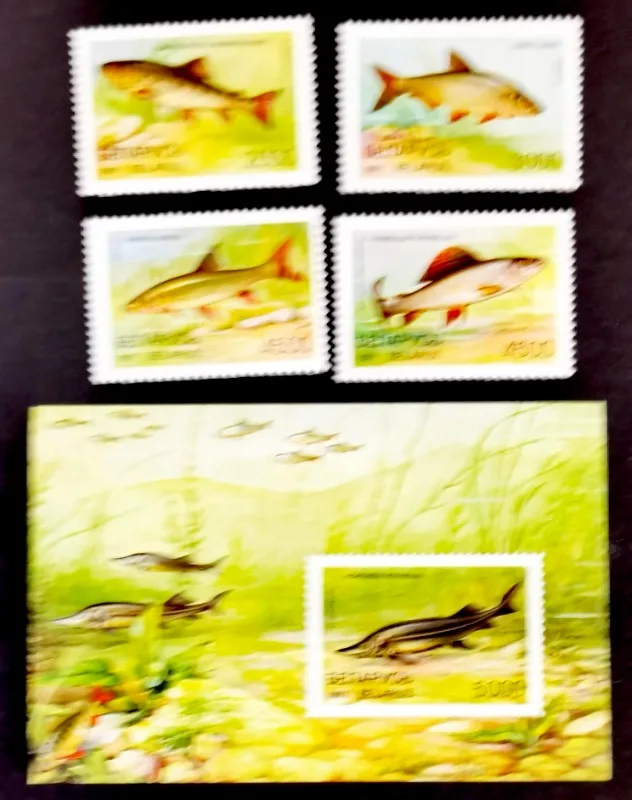 4 PCS+1, Belarus, 1997, Fish Stamps, Real Original, MNH