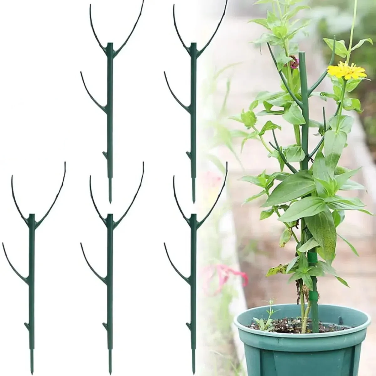 3/5Pcs Plant Support Pile Climbing Vine Stake Bonsai Fixing Rod Garden Plants Stake Holder Flower Support Rack For Potted Plant