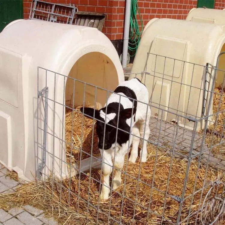 

Condition House PP Plastic Livestock Cages Dairy Cow Sheep House Calf Hutches Animal Husbandry Equipment