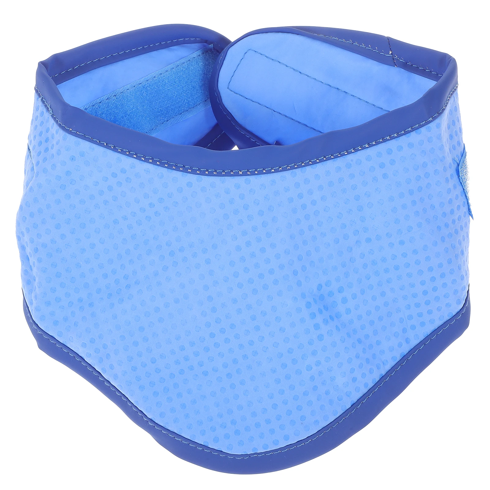 

Cooling Collar Adjustable Comfortable Bright Lightweight Breathable For Puppy Party Gift Blue Size L Collar Decor Summer Dog