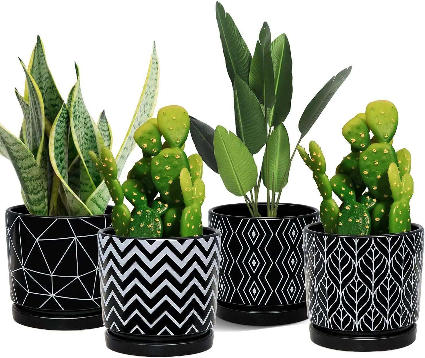 

Ceramic Planters 5.5 inch Set of 4 with Drainage Holes and Saucers for Indoor Succulents Cactus