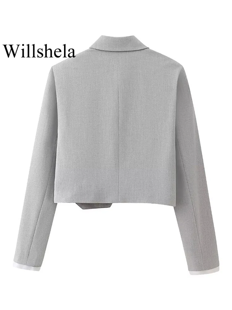 Willshela Women Fashion 2 Piece Set Grey Single Breasted Lapel Neck Shirts & Vintage Side Zipper Shorts Female Chic Shorts Set