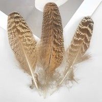 Peacock Quill Feathers,50pcs/lot-Natural Mottled Peacock Small Quill Feathers 6-8inches 15-20cm long,Fly Tying Material,