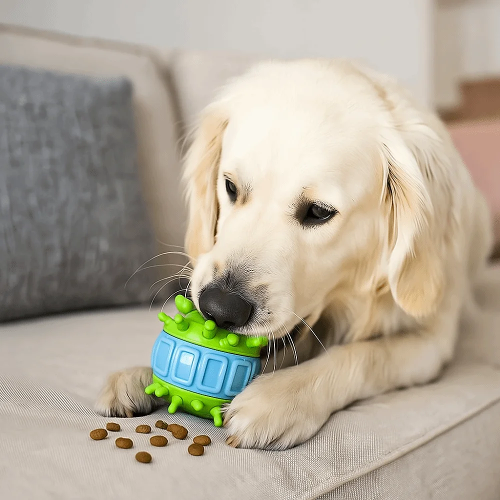 4 Pcs/set Bite Resistant Interactive Dog Toys Wear Resistant Colorful Teeth Cleaning Toy TPR Dog Food Dispensing Toy Indoor Play