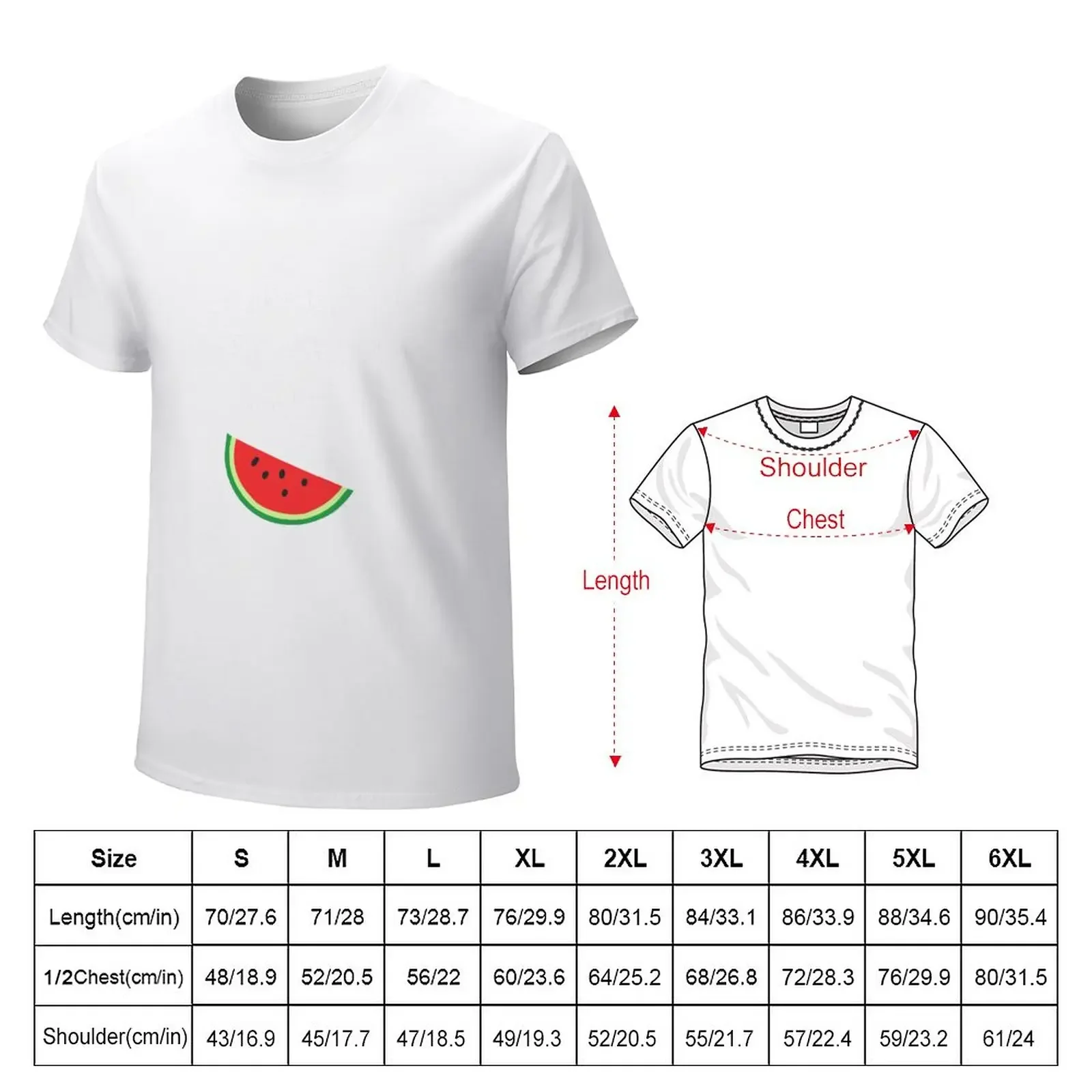 Don't Eat Watermelon Seeds Funny Pregnant Design T-Shirt summer top graphics blacks big and tall t shirts for men