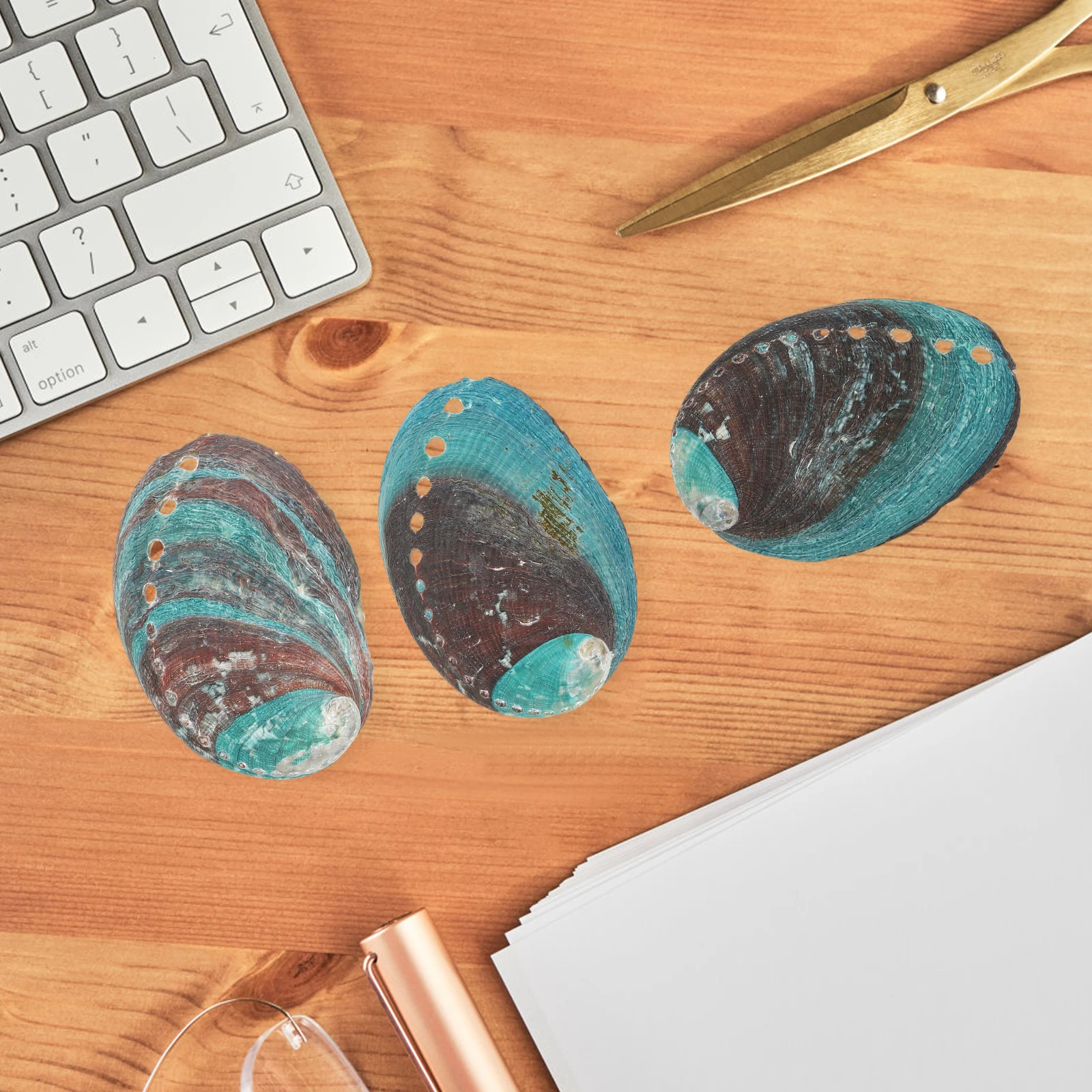

3 Pcs Abalone Shell Decor Natural Shells 8-10cm Smudge Bowl Kit Seashell Home Decoration for Crystals