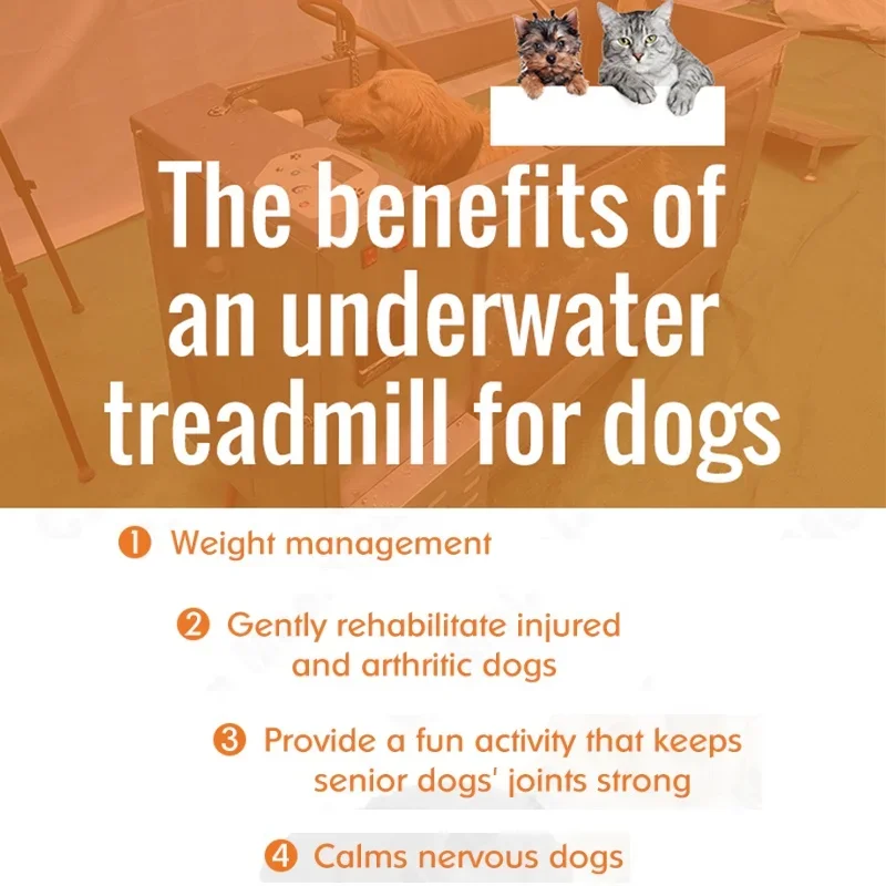 Pet Dog Vet Water Hydro Training Treadmill Stainless Steel Veterinary Hydrotherapy Underwater Treadmill for Dog