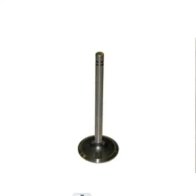 

7C5215 7C-5215 3176 C10 Engine Exhaust Valve For Wheel Dozer 814F Wheel Loader 966G Excavator 345B for CATERPILLAR