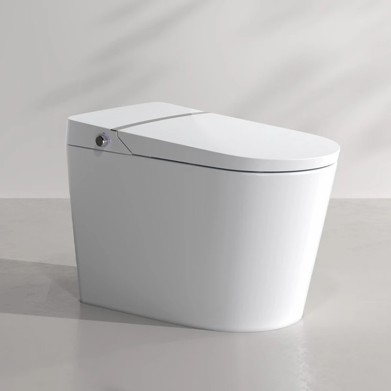 Smart toilet integrated 150/250 household full-function electric toilet