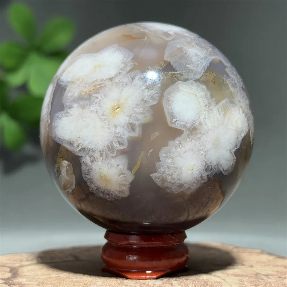Natural Black Cherry Agate Ball Mineral Specimen Meditation Healing Witchcraft Sacrifice massage Home Decoration Gift+Base