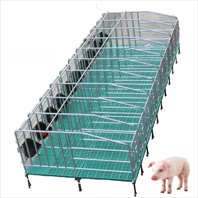 

Hot Selling Galvanized Pig Gestation Crate/Pen Swine Stall Sow Cage with Feeder Pig Farm Equipment Factory