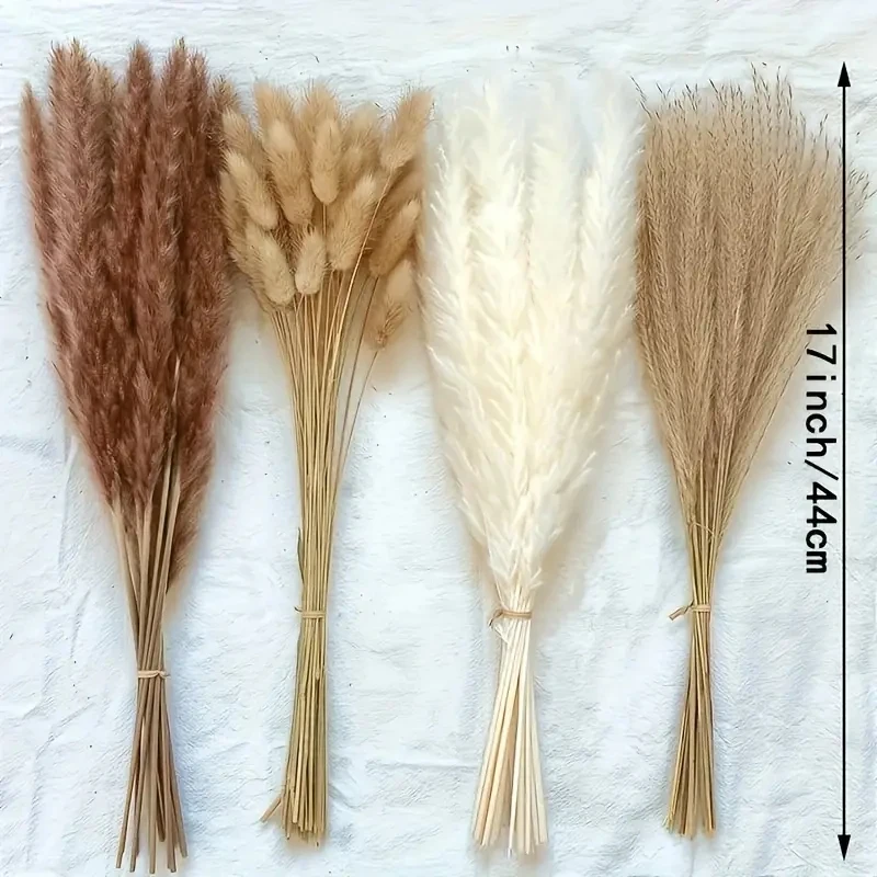 Imagen 5: 99 Piezas de Hierba de Pampas Esponjosa, Flores Secas, Colas de Conejo, Ramo Floral, Decoración para el Hogar y Jardín, Cañas de Flores Secas, Decoración Pomposa para Bodas