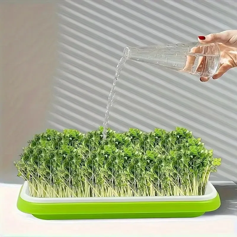 

Latest Models Seedling Tray Suit, Soilless Garden Germination Tray, Vegetable Bean Sprout Planting Tool, Plant Culture Tray
