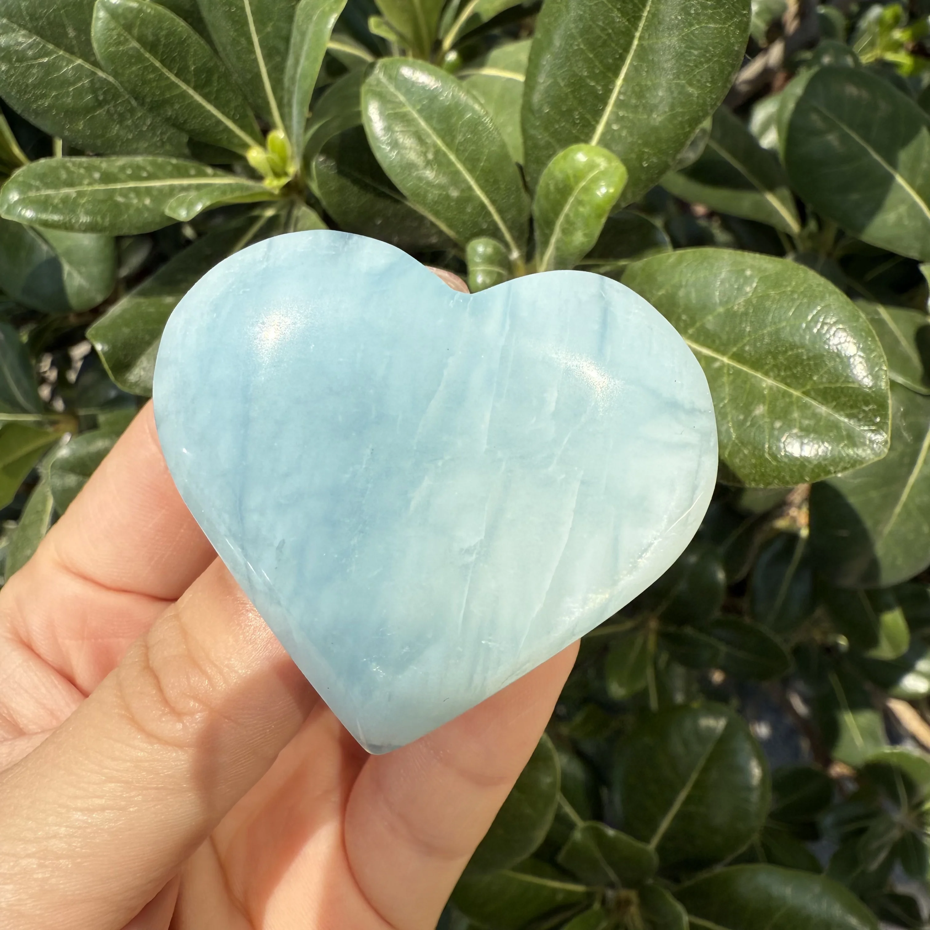 �y�Z�[�����z�V�R�n�[�g�`�N���X�^����T�C�Y�N�H�[�c�A�N�A�}�����G�l���M�[�����z���ޗ��Ƃ̑���