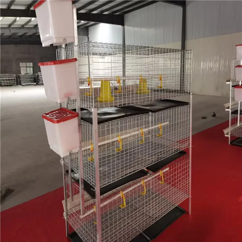 Breeding automatic laying hens/egg layer batteries A poultry breeding chicken coop