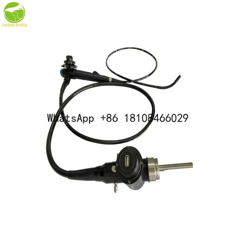 Best selling video veterinary gastroscope endoscope USB vet endoscope