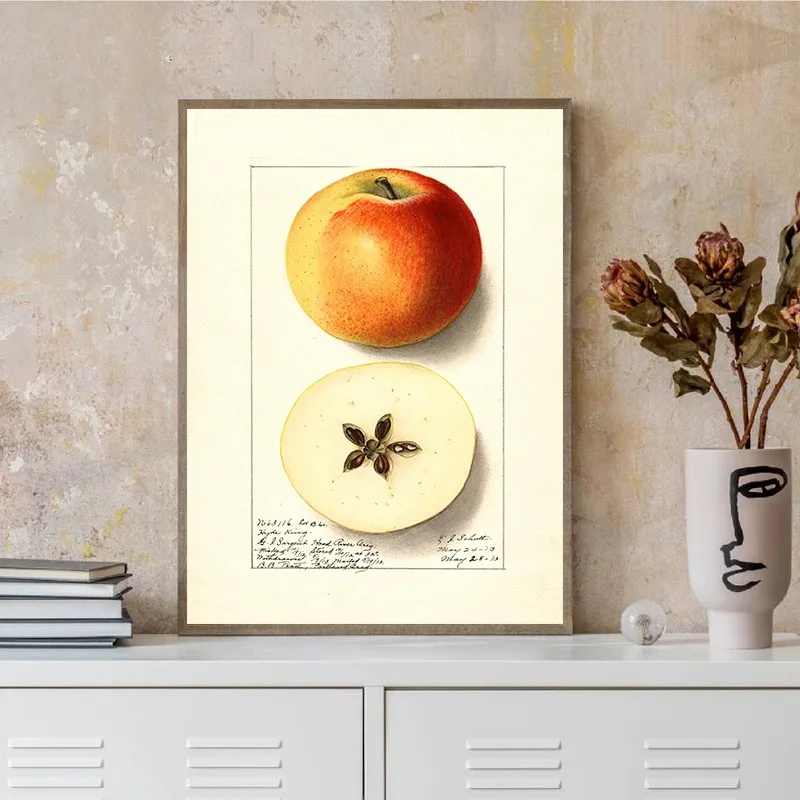 Vintage Watercolor Fruit Illustration Lemon Orange Pear Apple Canvas Poster Retro Study Education Wall Art School Home Decor