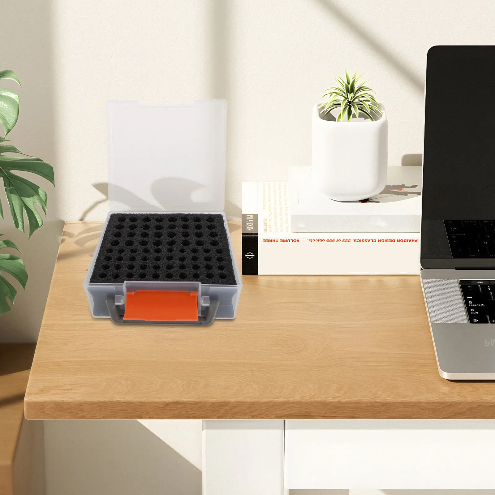Battery Recycling Container – Small Transparent Portable Storage Box for Efficient Sorting & Home Organization