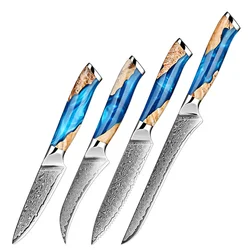 Japanese Damascus Steel Kitchen Knives 1-4 Set, Paring Knife Steak Knife Boning Knife Fruit Knife Blue Resin Wooden Handle