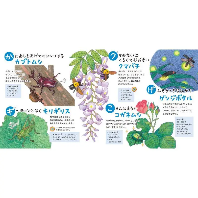 العلاقة بين الموتى والموتى ناوكو أاماميا هاكوسينشا 9784592763048 كتاب