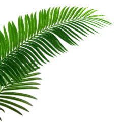 

3pieces 30ml Automatic Measured Bottle Pourer Quick Shot Spirit Drinks Wine Cocktail Dispenser Barware Wine Pourer