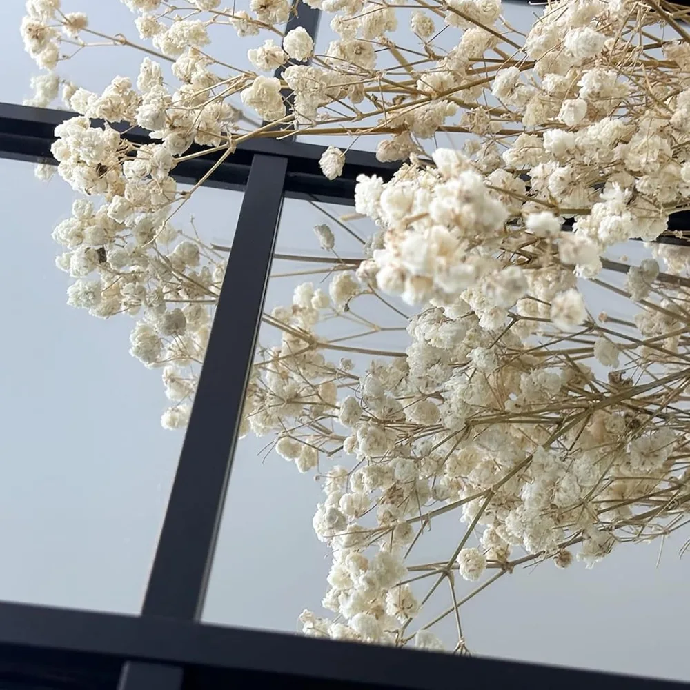 Full Length Art Pane Wall Mirror 65x24 for Farmhouse Decor - Leaning or Hanging, Ideal for Bedroom and Living Room