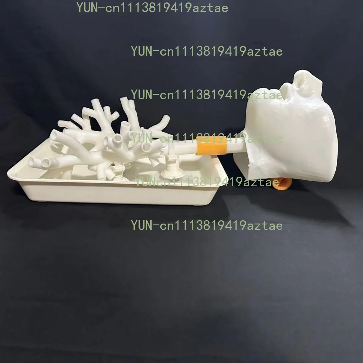 1:1 Level 4 Bronchial Model Bronchoscopy Training Model Resin Material Fiber Bronchus for Teaching Practice Training